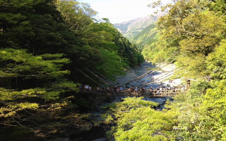 徳島の秘境、祖谷渓谷かずら橋